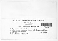 Image Associated With the Occurence